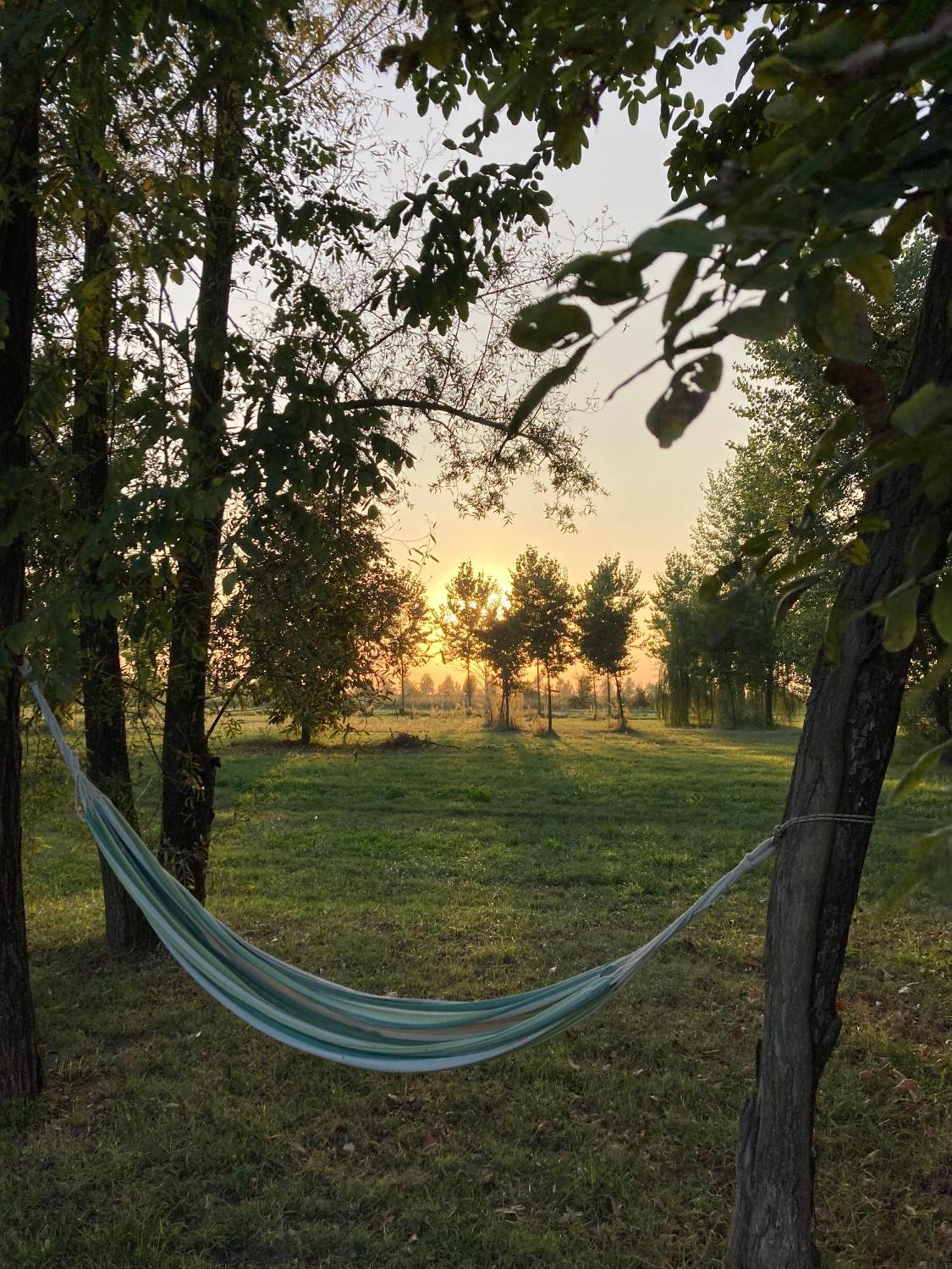 Agriturismo Corte Carezzabella San Martino di Venezze 외부 사진