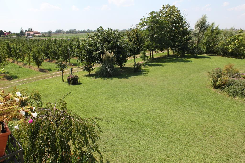 Agriturismo Corte Carezzabella San Martino di Venezze 외부 사진