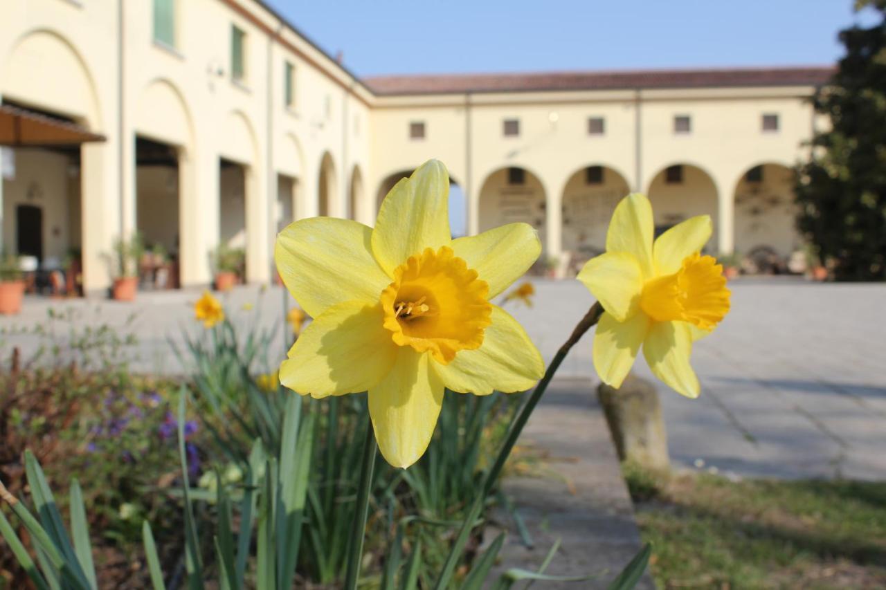 Agriturismo Corte Carezzabella San Martino di Venezze 외부 사진