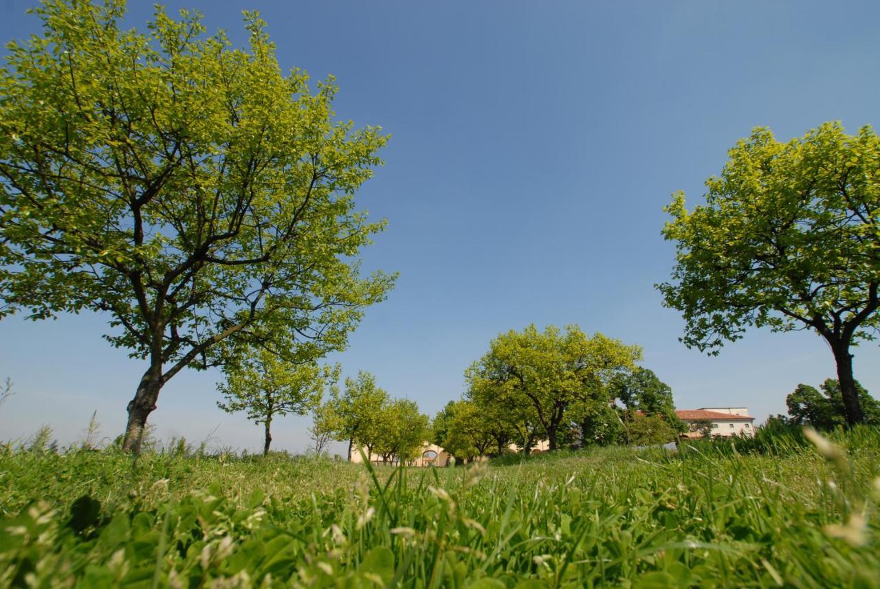 Agriturismo Corte Carezzabella San Martino di Venezze 외부 사진